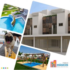 Alberca, Área de Juegos, PetPark,